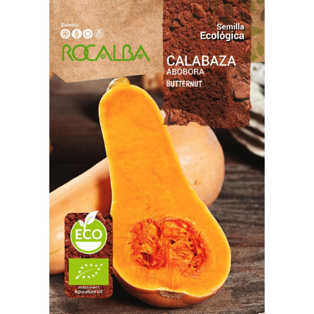 S.BIO ROCALBA  ABOBORA BUTTERNUT