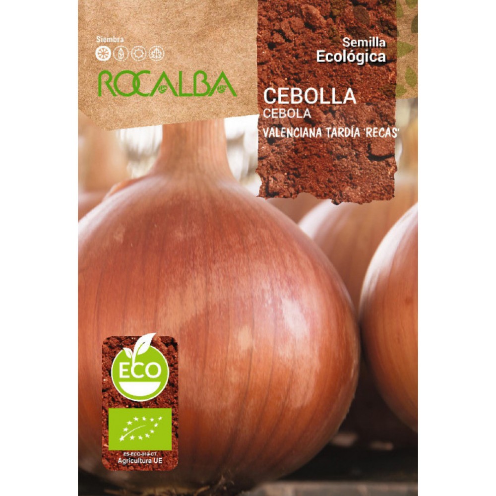 S.BIO ROCALBA CEBOLA VALENCIANA TARDIA RECAS