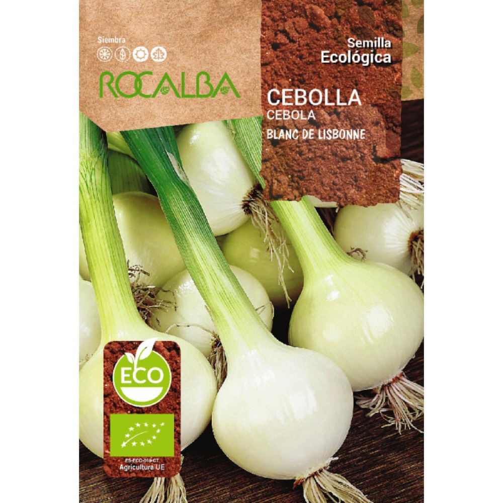 S.BIO ROCALBA CEBOLA BRANCA LISBONNE