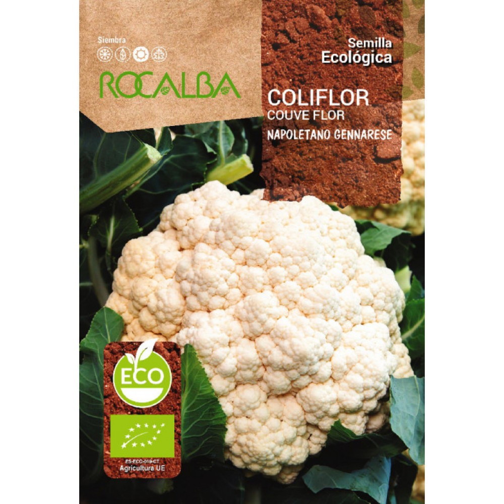 S.BIO ROCALBA COUVE FLOR NAPOLETANO GENNARSE
