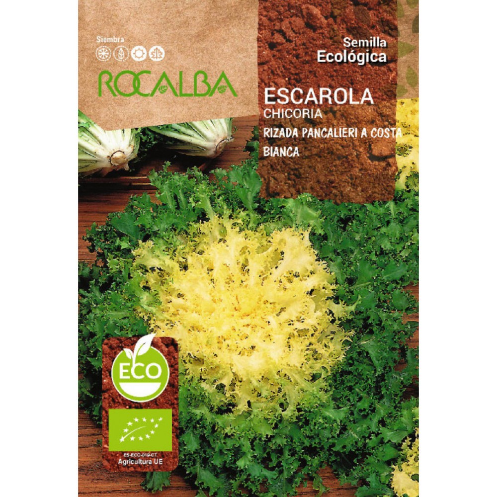 S.BIO ROCALBA CHICORIA FRISADA PANCALIERI