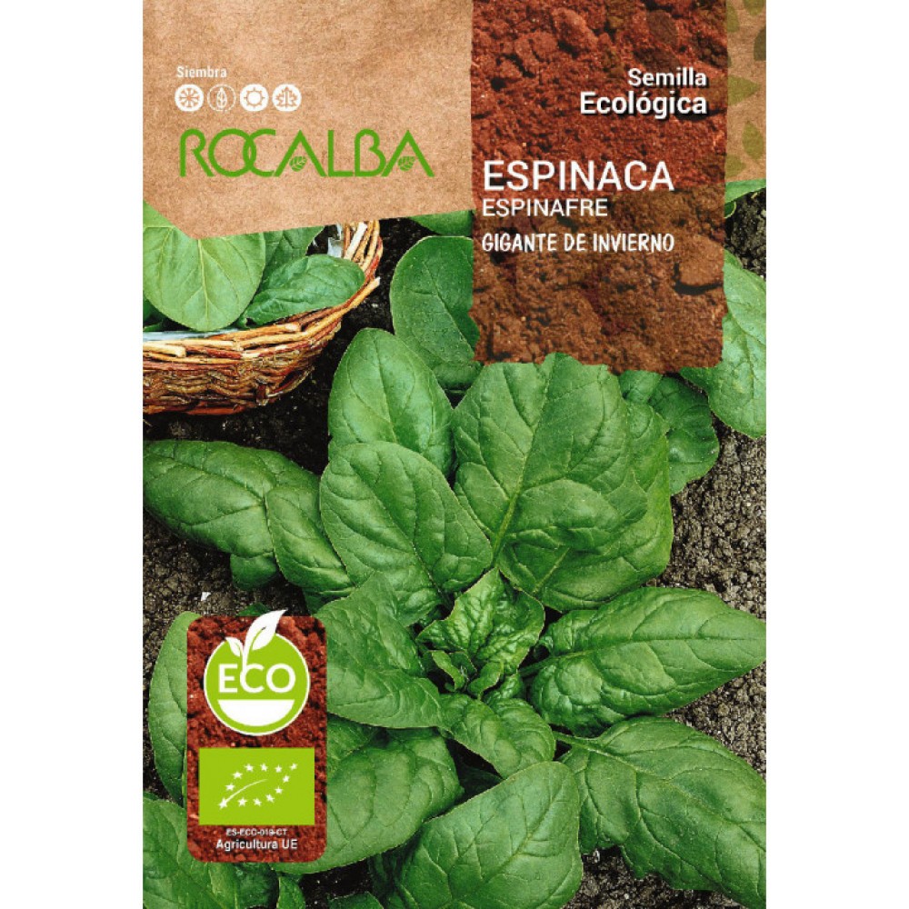 S.BIO ROCALBA ESPINAFRE GIGANTE DE INVERNO