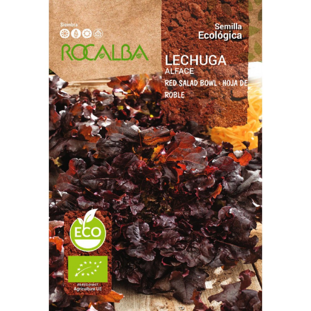 S.BIO ROCALBA ALFACE RED SALAD BOWL