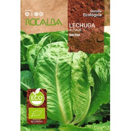 S.BIO ROCALBA ALFACE INVERNA