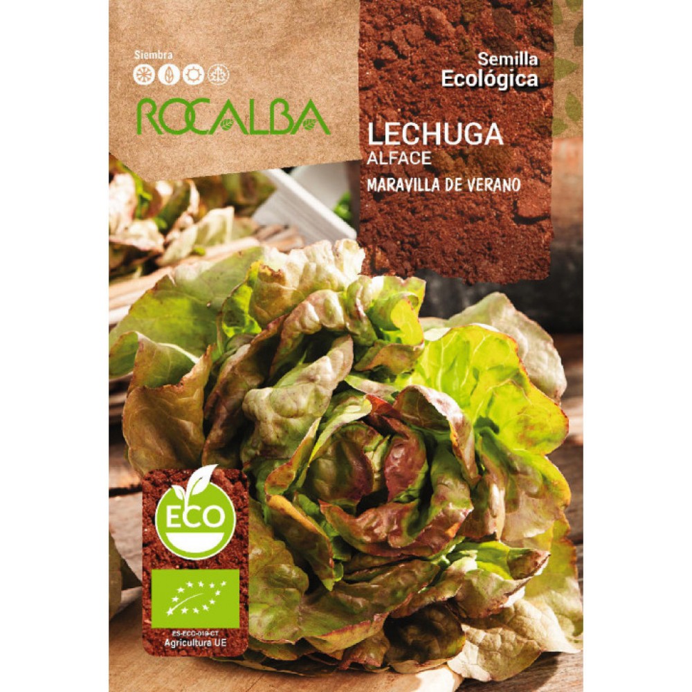 S.BIO ROCALBA ALFACE MARAVILHA DE VERÃO