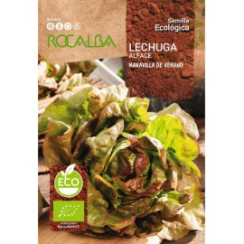 S.BIO ROCALBA ALFACE MARAVILHA DE VERÃO