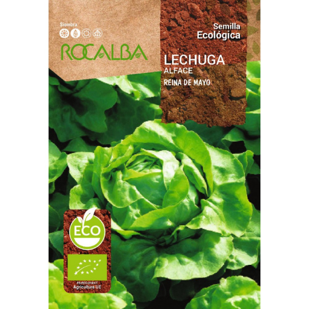 S.BIO ROCALBA ALFACE RAINHA DE MAIO