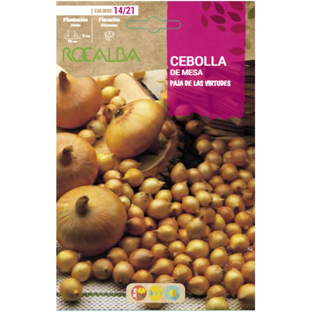 S.CEBOLINHA RO.VIRTUDES - SACO 25KG - SHED0391