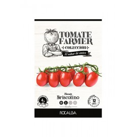 SEMENTE TOMATE FARMER BRISCOLINO