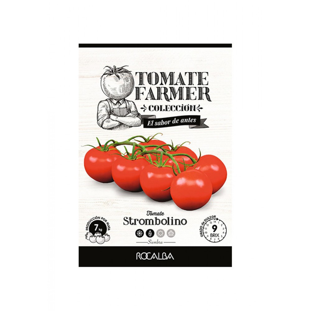SEMENTE TOMATE FARMER STROMBOLINO