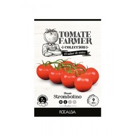 SEMENTE TOMATE FARMER STROMBOLINO