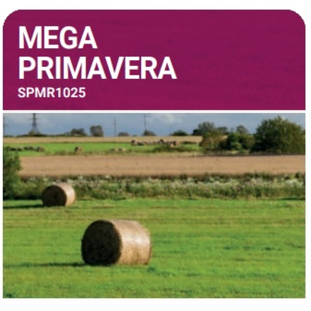 S.PRADO ANUAL MEGA PRIMAVERA  -SC 10KG