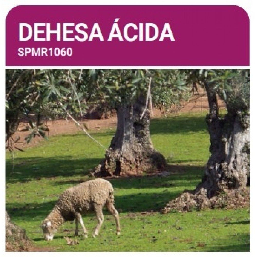 S.PRADO PERMANENTE DEHESA ACIDO  -SC 10KG