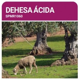 S.PRADO PERMANENTE DEHESA ACIDO  -SC 10KG
