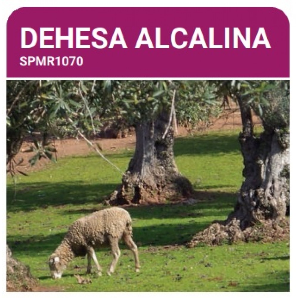 S.PRADO PERMANENTE DEHESA ALCALINO  -SC 10KG