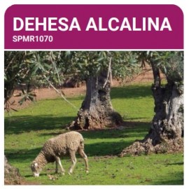 S.PRADO PERMANENTE DEHESA ALCALINO  -SC 10KG