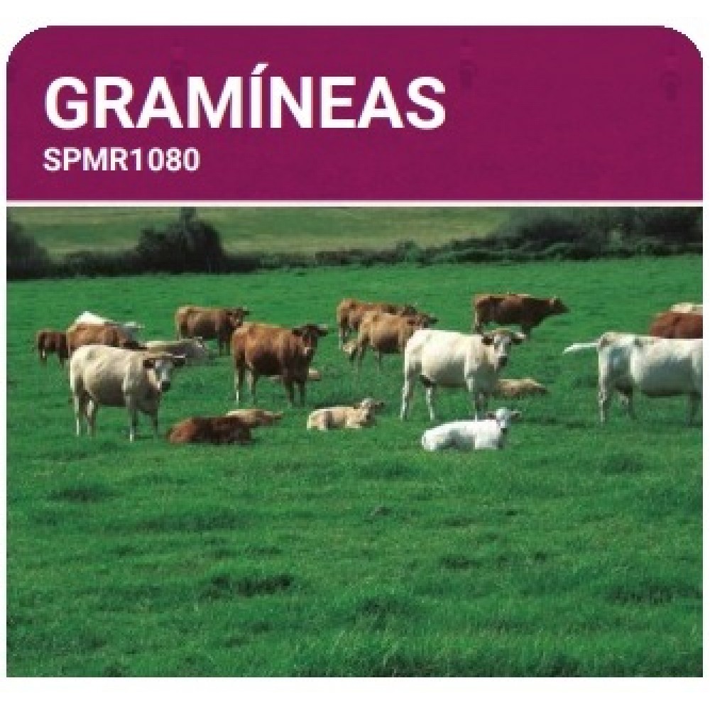 S.PRADO PERMANENTE GRAMINEAS -SC 10KG