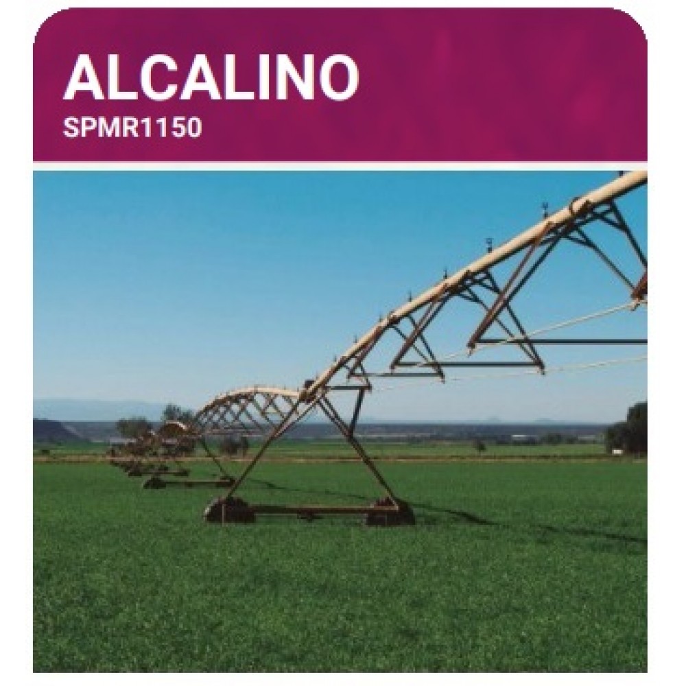 S.PRADO PERMANENTE ALCALINO  -SC 10KG