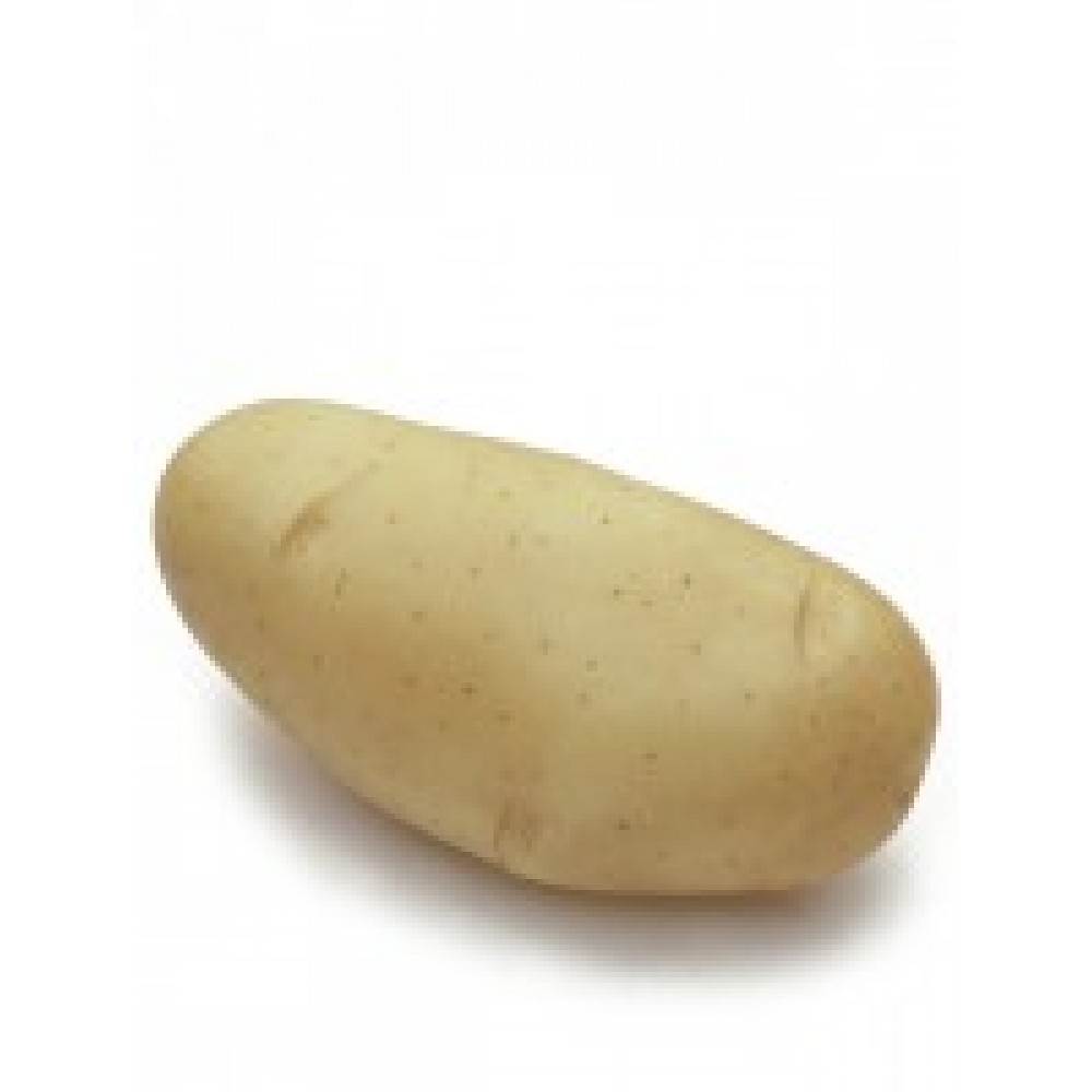 S.BATATA AGROPLANT SPUNTA 25/28        - 25KG
