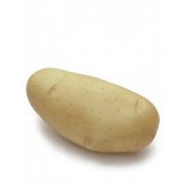 S.BATATA AGROPLANT SPUNTA 25/28        - 25KG