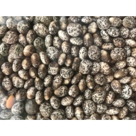 SEMENTE TREMOCILHA           - SACO 25KG