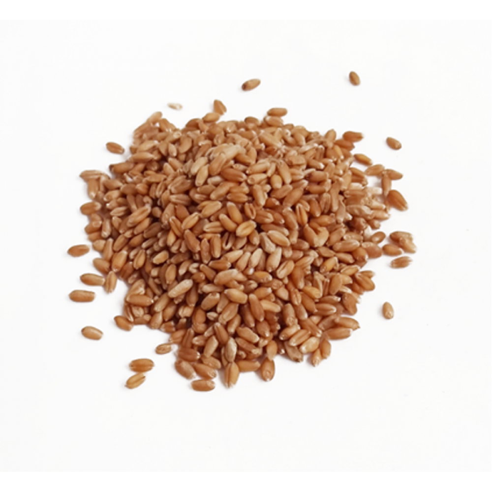 ALEIXO CEREAL TRIGO          - SACO  5KG