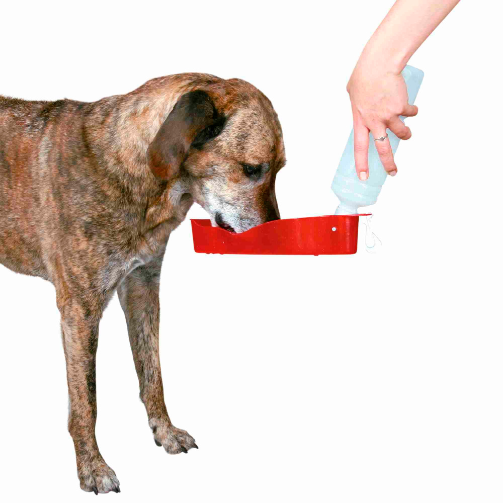 TRIXIE DOG ON TOUR - BEBEDOURO P/ VIAGEM 700ML