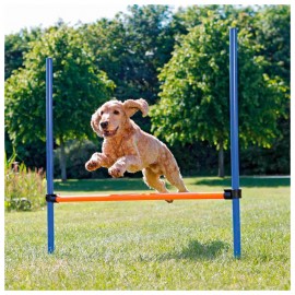 BARREIRA PARA AGILITY