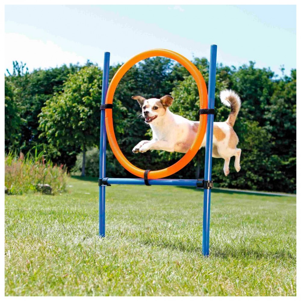 ANEL DE SALTO PARA AGILITY