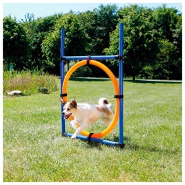 ANEL DE SALTO PARA AGILITY