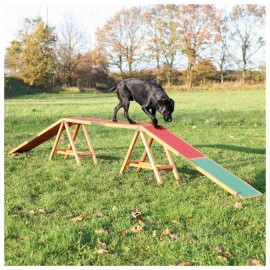 DOGWALK PARA AGILITY