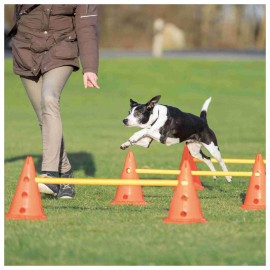 CONJUNTO DE OBSTÁCULOS PARA AGILITY 4 CONES +2 BARRAS
