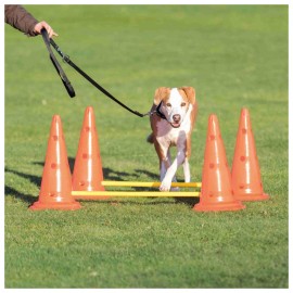 CONJUNTO DE OBSTÁCULOS PARA AGILITY 4 CONES +2 BARRAS