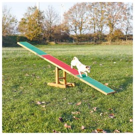 BALANCÉ PARA AGILITY