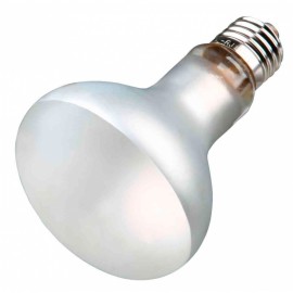 REPTILAND - PROSUN MIXED D3 (TUNGSTEN LAMP) 70W