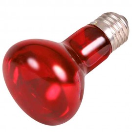 REPTILAND - INFRARED HEAT SPOT LAMP 35W