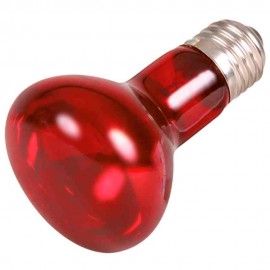 REPTILAND - INFRARED HEAT SPOT LAMP 75W