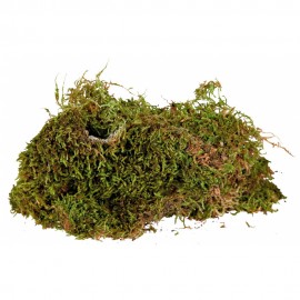 REPTILAND TERRARIEN-MOOS - MUSGO: SUBSTRATO PARA VIVÁRIOS HÚMIDOS 200G