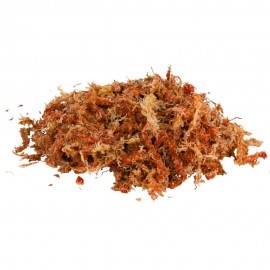 REPTILAND SPHAGNUM-MOOS - MUSGO SUBSTRATO TROPICAL 100G