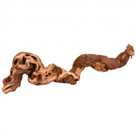 DECORAÇÃO PARA TERRÁRIO - TRONCO DECORATIVO TRATADO (L)
