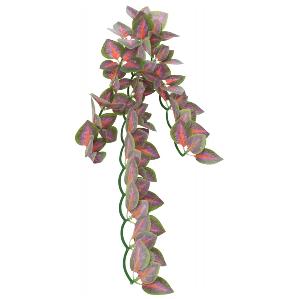DECORAÇÃO PARA TERRÁRIO - PLANTA PARA TERRÁRIO MODELO FOLIUM PERILAE (S)