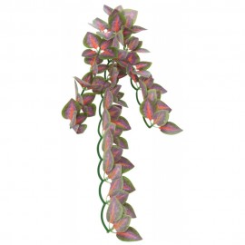 DECORAÇÃO PARA TERRÁRIO - PLANTA PARA TERRÁRIO MODELO FOLIUM PERILAE (S)