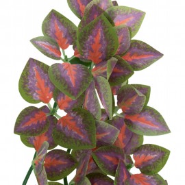 DECORAÇÃO PARA TERRÁRIO - PLANTA PARA TERRÁRIO MODELO FOLIUM PERILAE (S)