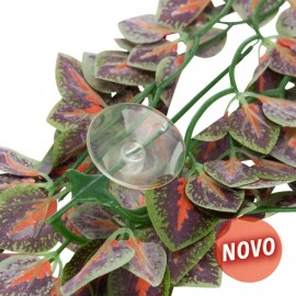DECORAÇÃO PARA TERRÁRIO - PLANTA PARA TERRÁRIO MODELO FOLIUM PERILAE (M)