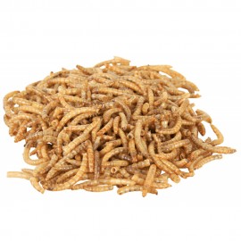 REPTILAND MEHLWURMER - VERMES DA FARINHA  - 70G