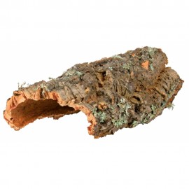 DECORAÇÃO PARA TERRÁRIO - PLACA DE CORTIÇA (M) 40CM