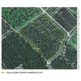 ECONEX ARMADILHA MOSCA DA CEREJA RHAGOLETIS CERASI FOSFATO DIAMONICO RC - KIT