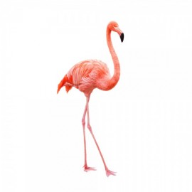 WISBROEK IBIS - FLAMINGO FLOATING - 15 KG