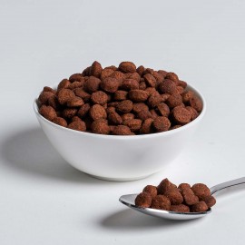 WISBROEK PAPAGAIOS FRUIT BLEND BOOSTER  - 10 KG