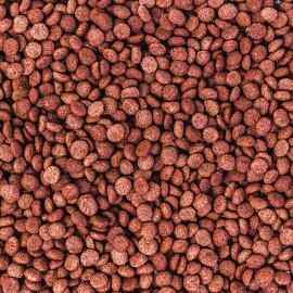 WISBROEK PAPAGAIOS FRUIT BLEND DAILY LARGE  - 1 KG